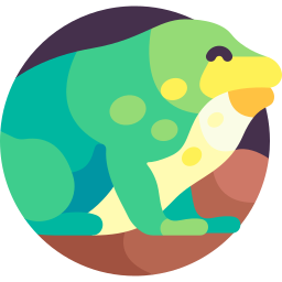 Shovelnose frog icon