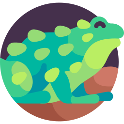 Moss frog icon