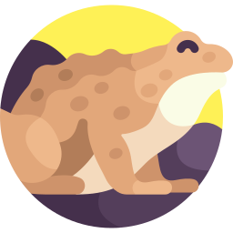 Natterjack icon