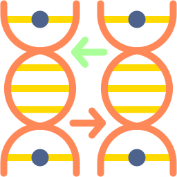 génome Icône