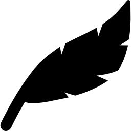 Feather icon