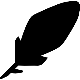 Feather icon