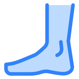 Foot icon