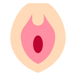 vagina icono