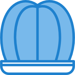 カクタス icon