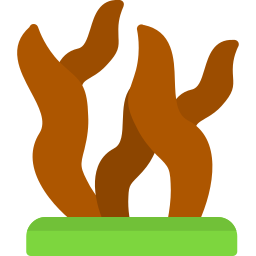 해초 icon