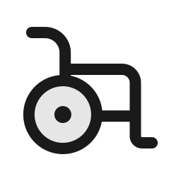 Handicap icon