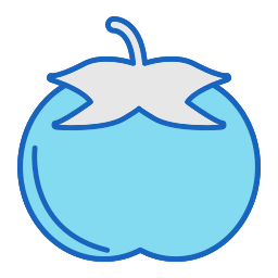 Persimmon icon