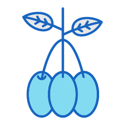 Java plum icon