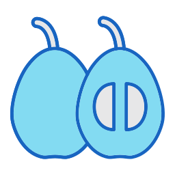 Loquat icon