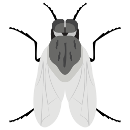 Fly icon