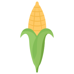 Corn icon