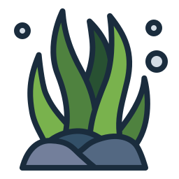 Морские водоросли иконка