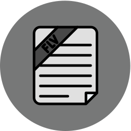Flv file icon