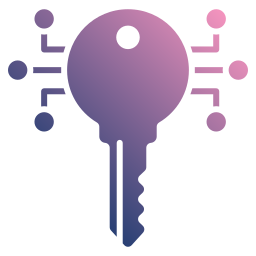 smart key icon