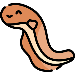 Electric eel icon