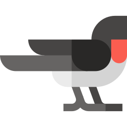 Barn Swallow icon