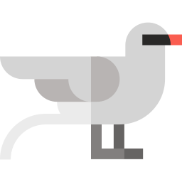 uccello tropicale icona