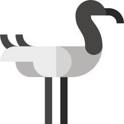 ibis icon