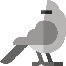 Mousebird icon