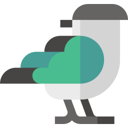 Cuckoo roller icon