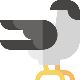 Falcon icon