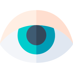 Eye icon