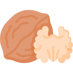 Walnut icon