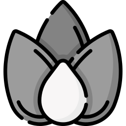 참깨 icon