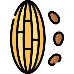 cacao icono