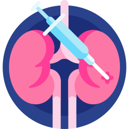 Kidney biopsy icon