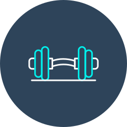 Dumbbells icon