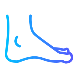 Ankle icon