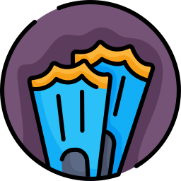 Flippers icon