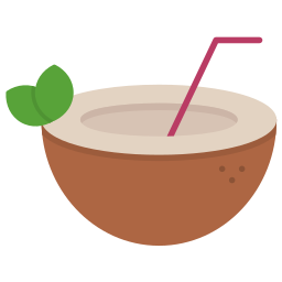 Coconut drink icon