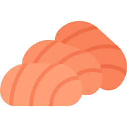 sashimi Icône