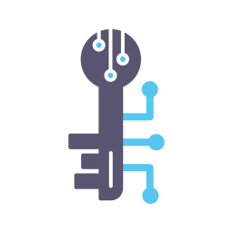 Electronic Key icon