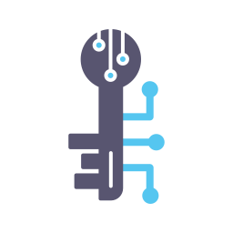 llave electronica icono