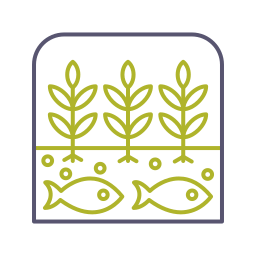 Hydroponic icon