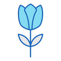 tulpe icon