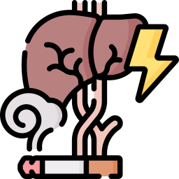 Liver icon