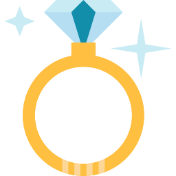 Ring icon