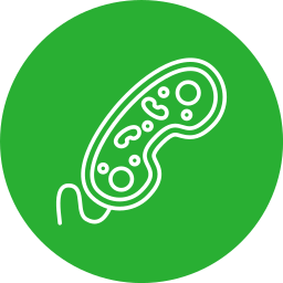 Bacteria icon