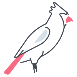 kardynał ptak ikona
