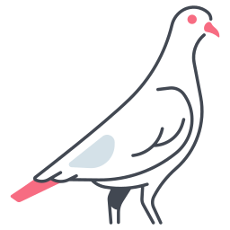piccione icona