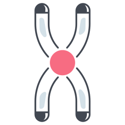 Chromosome icon