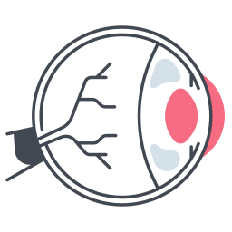 Eyeball  icon