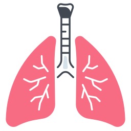 Lungs icon