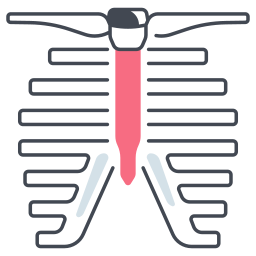 cage thoracique Icône