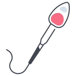 spermatozoïdes Icône